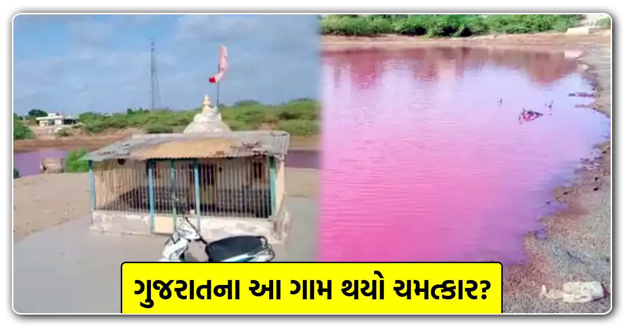 ગુજરાતના આ ગામમાં તળાવના પાણીનો રંગ થયો ગુલાબી,  નીલકંઠ મહાદેવનું વર્ષો જૂનું મંદિર હોવાથી જોડાઈ આસ્થા