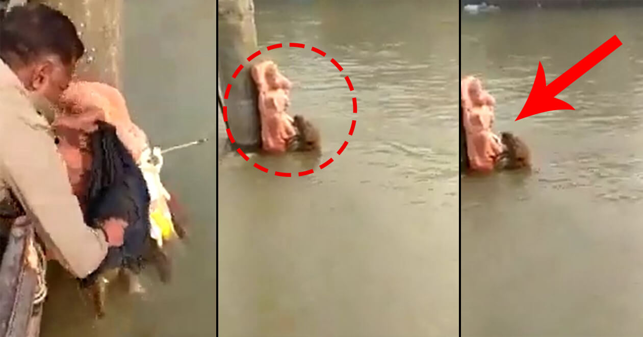 પાણીમાં તણાઈ રહેલા કપિરાજનો જીવ બચાવવા સામે આવ્યા સાક્ષાત બજરંગબલી, 24 કલાક સુધી રહ્યા સાથે પછી બીજા દિવસે સવારે જયારે લોકોએ જોયું.. જુઓ વીડિયો